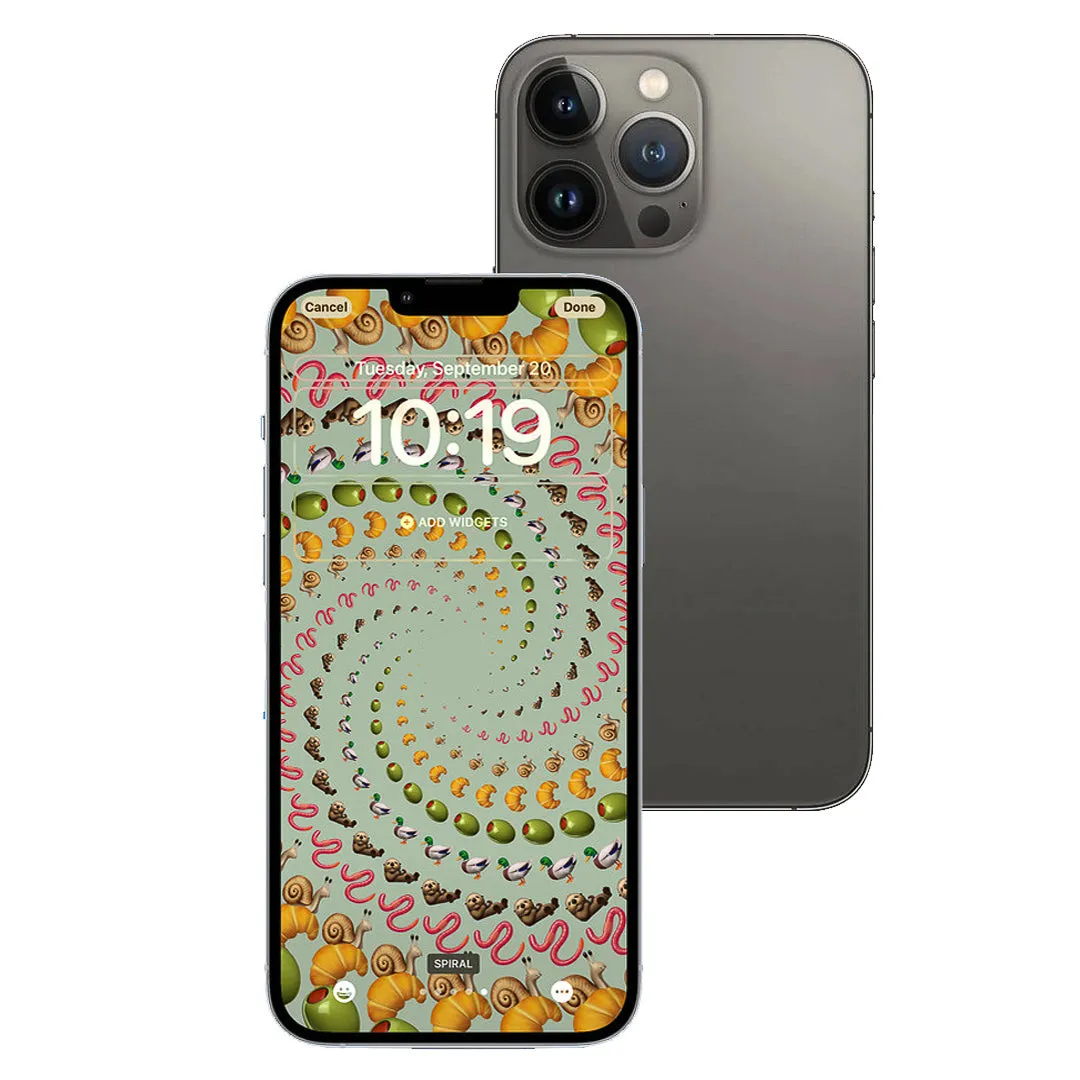iPhone 13 Pro Max 512GB