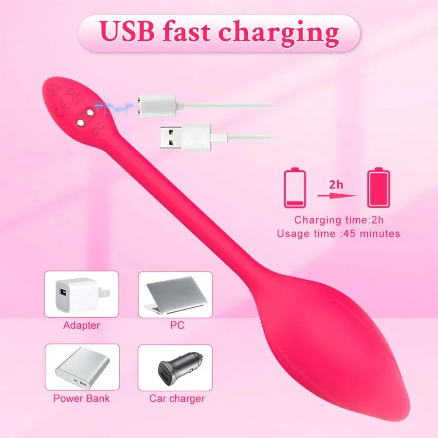 Mobile Phone Controlled Vibrator for Women