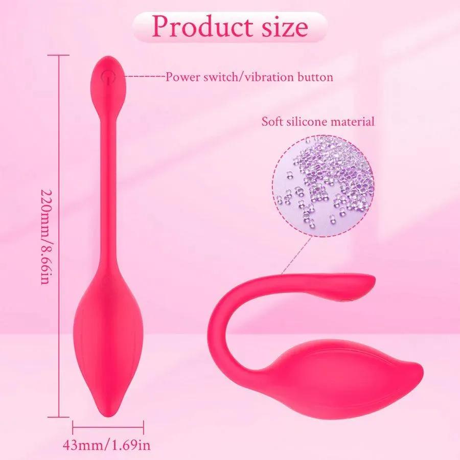 Mobile Phone Controlled Vibrator for Women