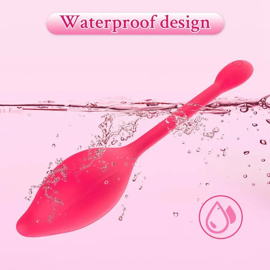 Mobile Phone Controlled Vibrator for Women